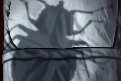 California Bed Bug Exterminators - Pest Control Services in Sacramento, CA