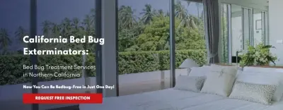 California Bed Bug Exterminators - Pest Control Services in Sacramento, CA