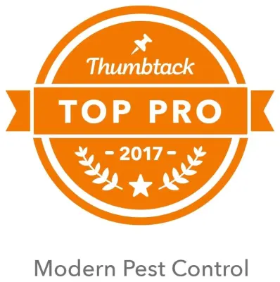 Modern Pest Control - Pest Control Services in Puyallup, WA
