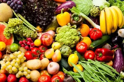 Discover Health & Wellness Denver - Pest Control Services in Denver, CO