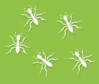 Drewery's Termite and Pest Control - Pest Control Services in Oxford, MS