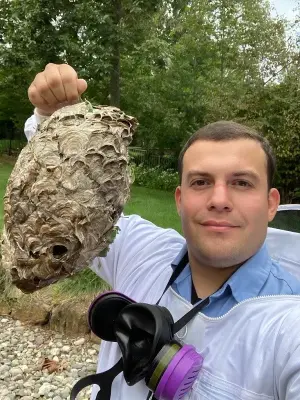 Faro Pest Control - Pest Control Services in Mine Hill, NJ