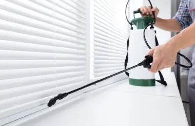 Bloomtown Termite Specialists — Pest Control Services project by Flower City Termite Experts
