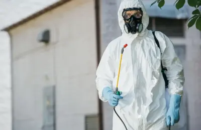 Flower City Termite Experts - Pest Control Services in Springfield, IL