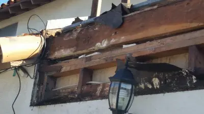Acme Termite Company, Inc. - Pest Control Services in Fountain Valley, CA