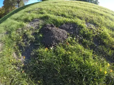 Metro Mole Control - Tree & Shrub Care in Brooklyn Park, MN