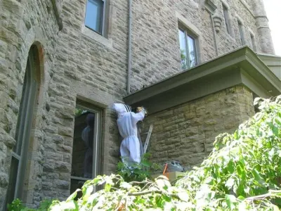 Re-Hive - Pest Control Services in Cincinnati, OH