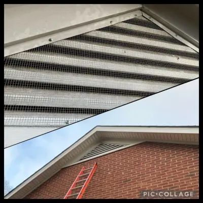 Oneway Service - Pest Control Services in Boston, MA