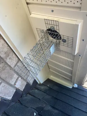 Oneway Service - Pest Control Services in Boston, MA