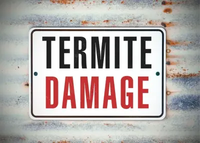 La Bey Termite Removal Experts - Pest Control Services in Green Bay, WI