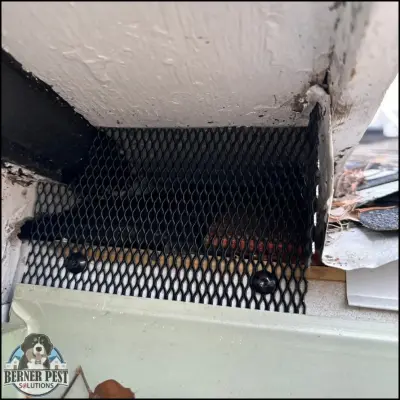 Berner Pest Solutions - Pest Control Services in Lexington, KY