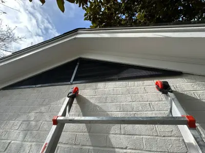 Berner Pest Solutions - Pest Control Services in Lexington, KY