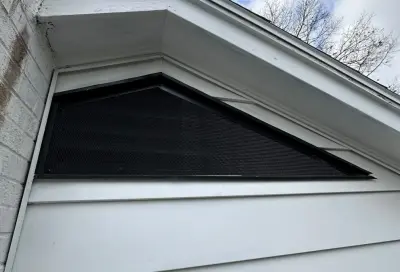 Berner Pest Solutions - Pest Control Services in Lexington, KY