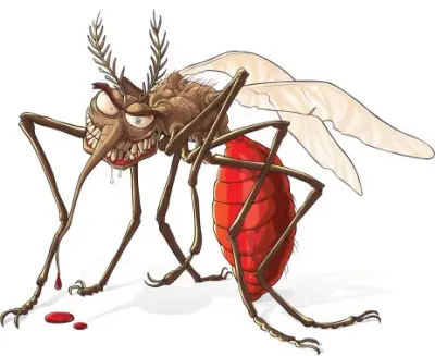 Mosquito Movers - Pest Control Services in Alexander, AR