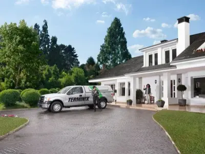 Terminix - Pest Control Services in Zanesville, OH