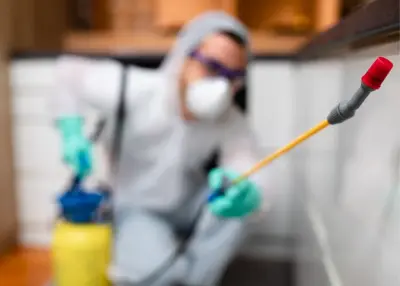 Golf Coast Termite Removal Experts - Pest Control Services in Myrtle Beach, SC
