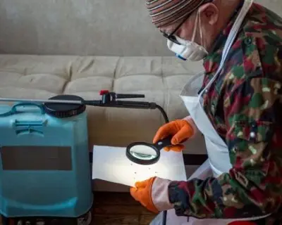 My Initiative — Pest Control Services project by Bed Bug Specialists Of Springfield