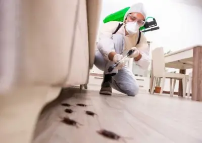 Finney County Pest Control - Pest Control Services in Garden City, KS