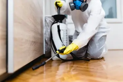 The Monroe Pest Control Team - Pest Control Services in Monroe, MI