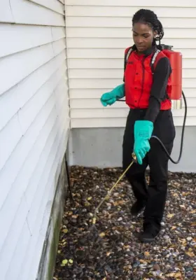 The Monroe Pest Control Team - Pest Control Services in Monroe, MI
