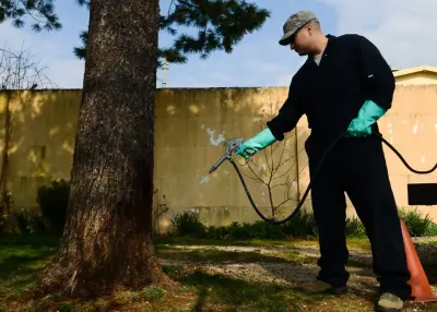The Pearland Pest Control Pros - Pest Control Services in Pearland, TX