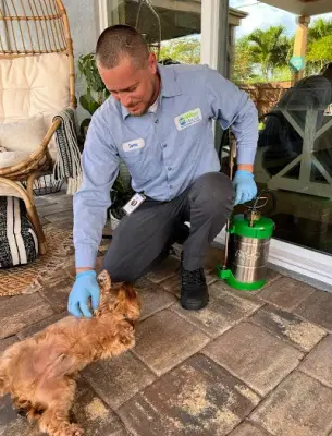 Wise House Environmental Services - Pest Control Services in Boynton Beach, FL