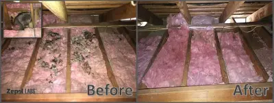 Zepol Labs - Pest Control Services in Elk Grove, CA