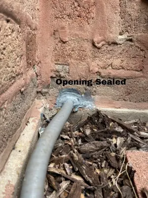 Eco Pest Solutions - Pest Control Services in Chicago, IL