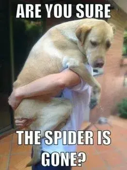 Merle's Pest Control - Pest Control Services in Junction City, OR