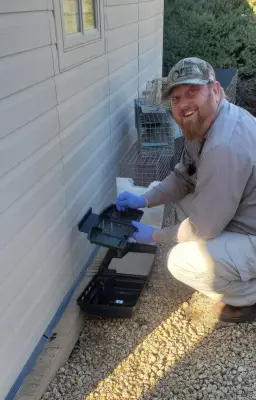 Images — Pest Control Services project by Anteater Exterminating Inc.