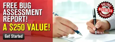 Preventive Pest Control - Las Vegas - Tree & Shrub Care in Las Vegas, NV