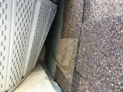 Trutech Wildlife Service - Pest Control Services in Irving, TX