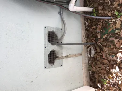 Trutech Wildlife Service - Pest Control Services in Irving, TX