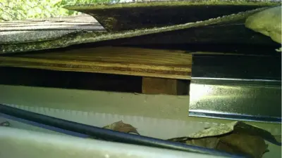 Parker Eco Pest Control Seattle - Pest Control Services in Seattle, WA