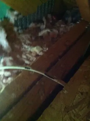 Varmint Gone Lake Norman - Pest Control Services in Mooresville, NC