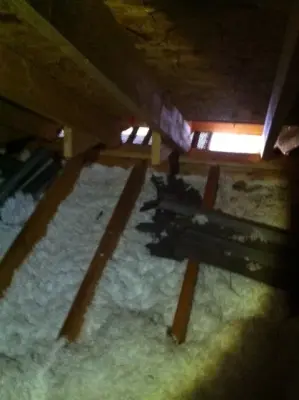 Varmint Gone Lake Norman - Pest Control Services in Mooresville, NC
