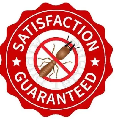 Alpha Termite - Pest Control Services in Los Angeles, CA