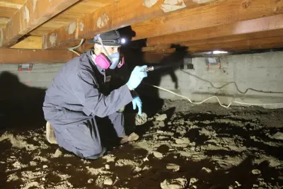 MightyMite Termite Services - Pest Control Services in Campbell, CA