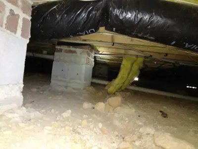 ValuePest.com of Wake/Durham Co. - Pest Control Services in Wake Forest, NC