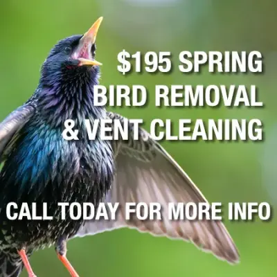 Varmint Gone Lake Norman - Pest Control Services in Mooresville, NC