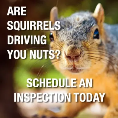 Varmint Gone Lake Norman - Pest Control Services in Mooresville, NC