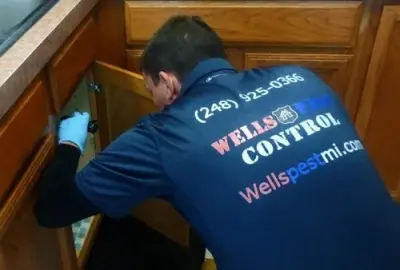 Wells Exterminating Services — Pest Control Services project by Wells Pest Control