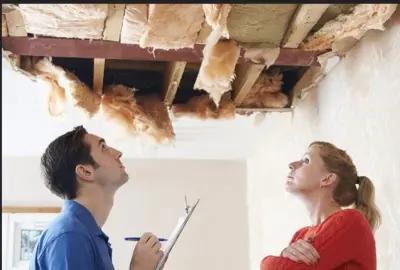Wells Pest Control - Pest Control Services in Dryden, MI