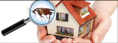 Wells Pest Control - Pest Control Services in Dryden, MI