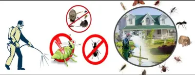 Wells Pest Control - Pest Control Services in Dryden, MI