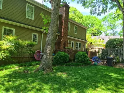 Mosquito Squad of the Triad - Pest Control Services in Greensboro, NC