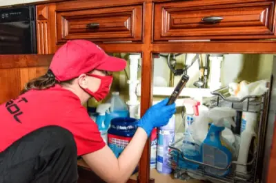 A.G. Pest Control - Pest Control Services in Fairfield, OH