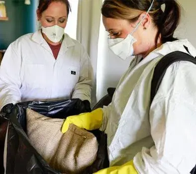 Advanced Bed Bug Preparation - Pest Control Services in Oshkosh, WI
