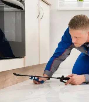 Advanced Termite & Pest Control - Pest Control Services in Saint George, UT