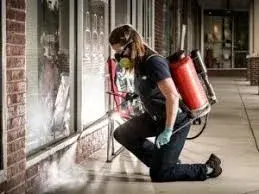 Affordable Bed Bug Removal Specialists - Pest Control Services in Newark, NJ